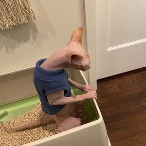 Meet your Posher, morgan